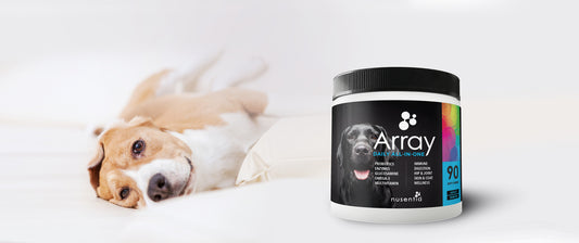 Unlock the Power of Nusentia Array For a Healthier Dog