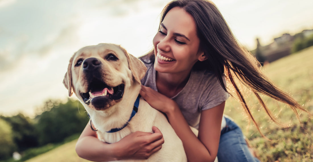 Dealing with Canine Arthritis: Glucosami