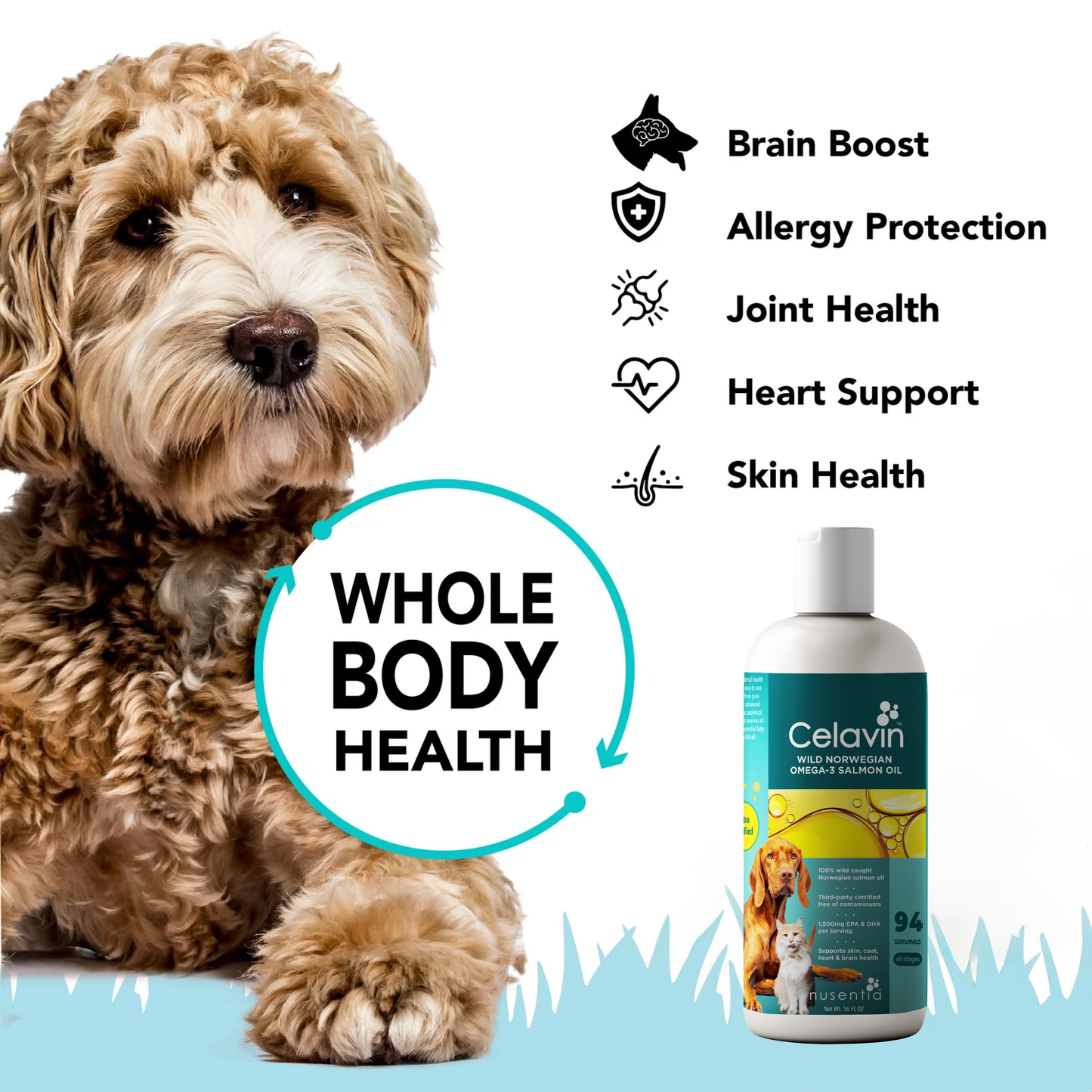 Allergy Pack for Dogs