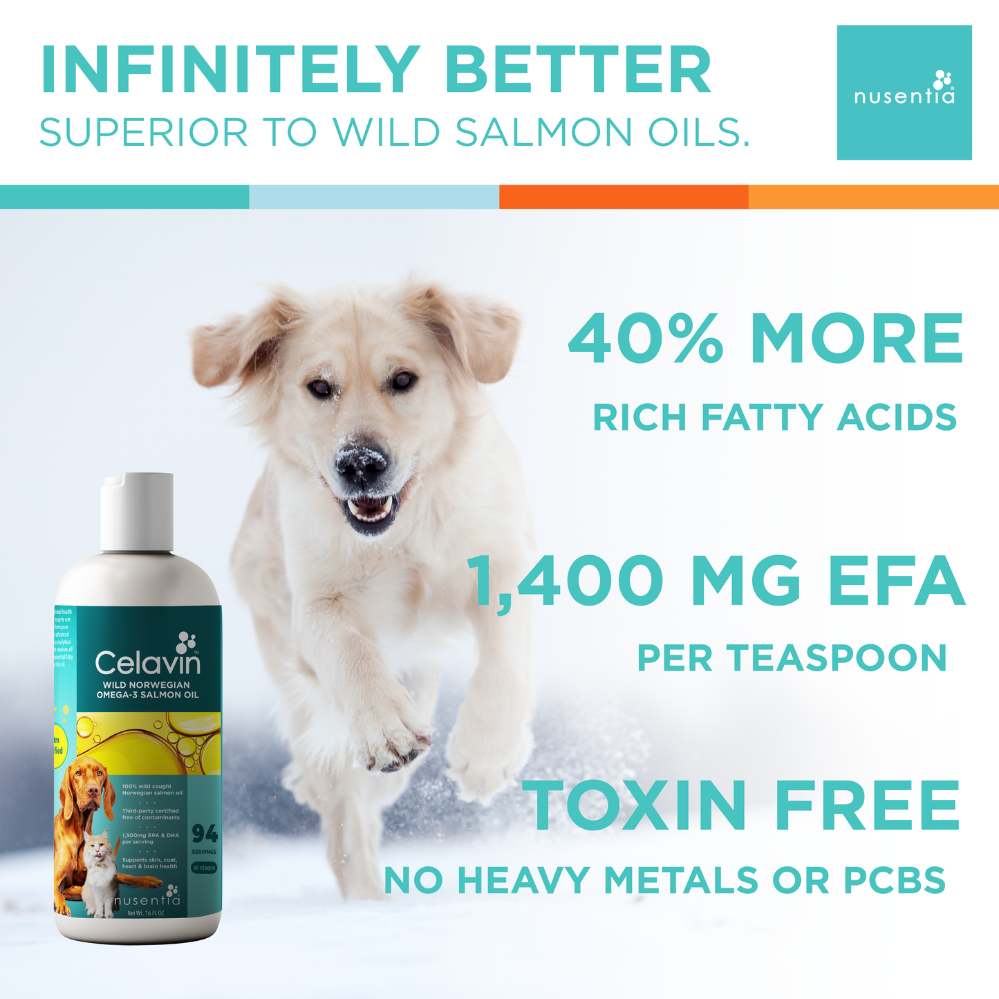 Allergy Pack for Dogs