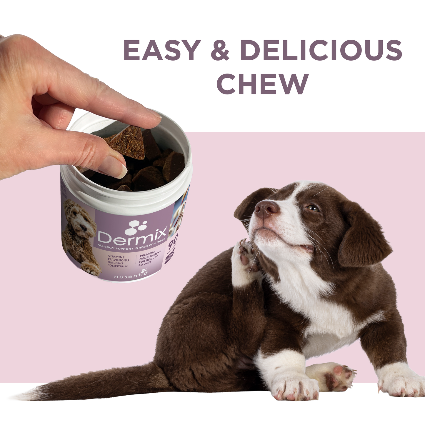 Allergy Pack for Dogs