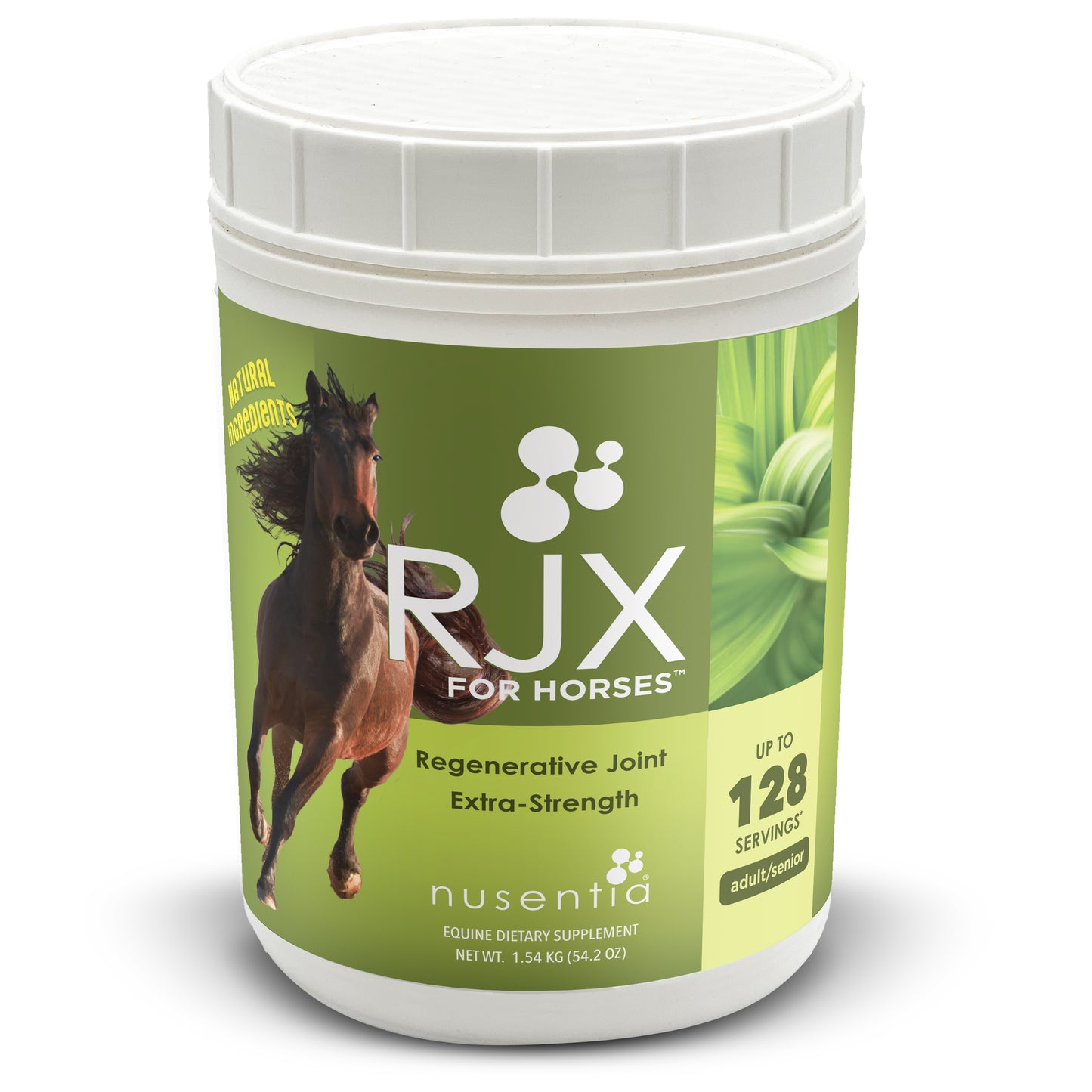 horse glucosamine arthritis natural supplement