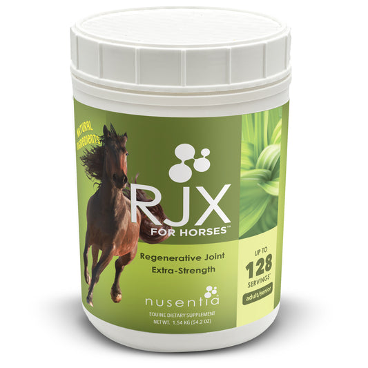 horse glucosamine arthritis natural supplement