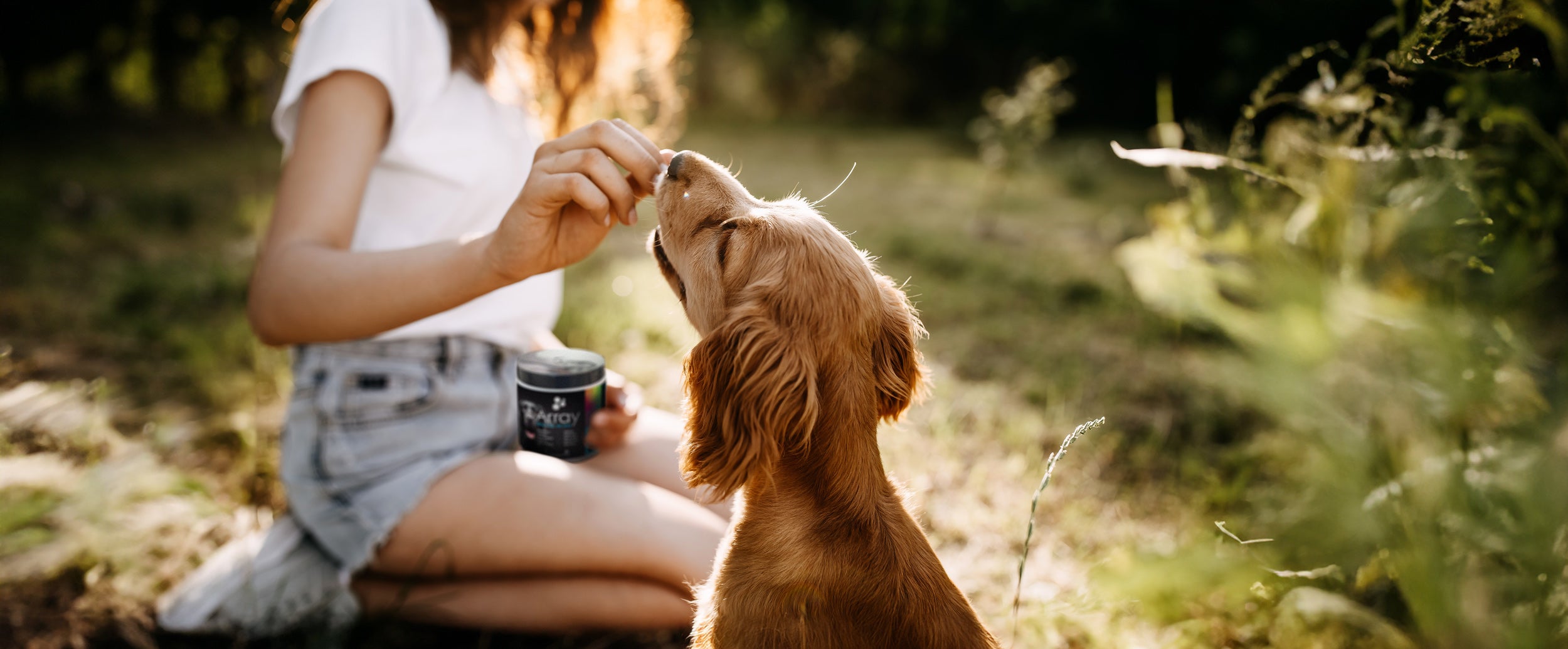 dog natural supplements