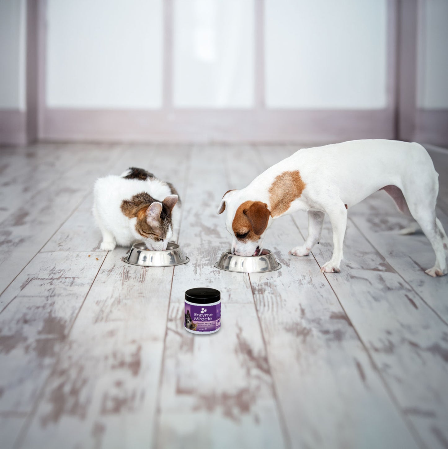 digestive enzymes for dogs and cats