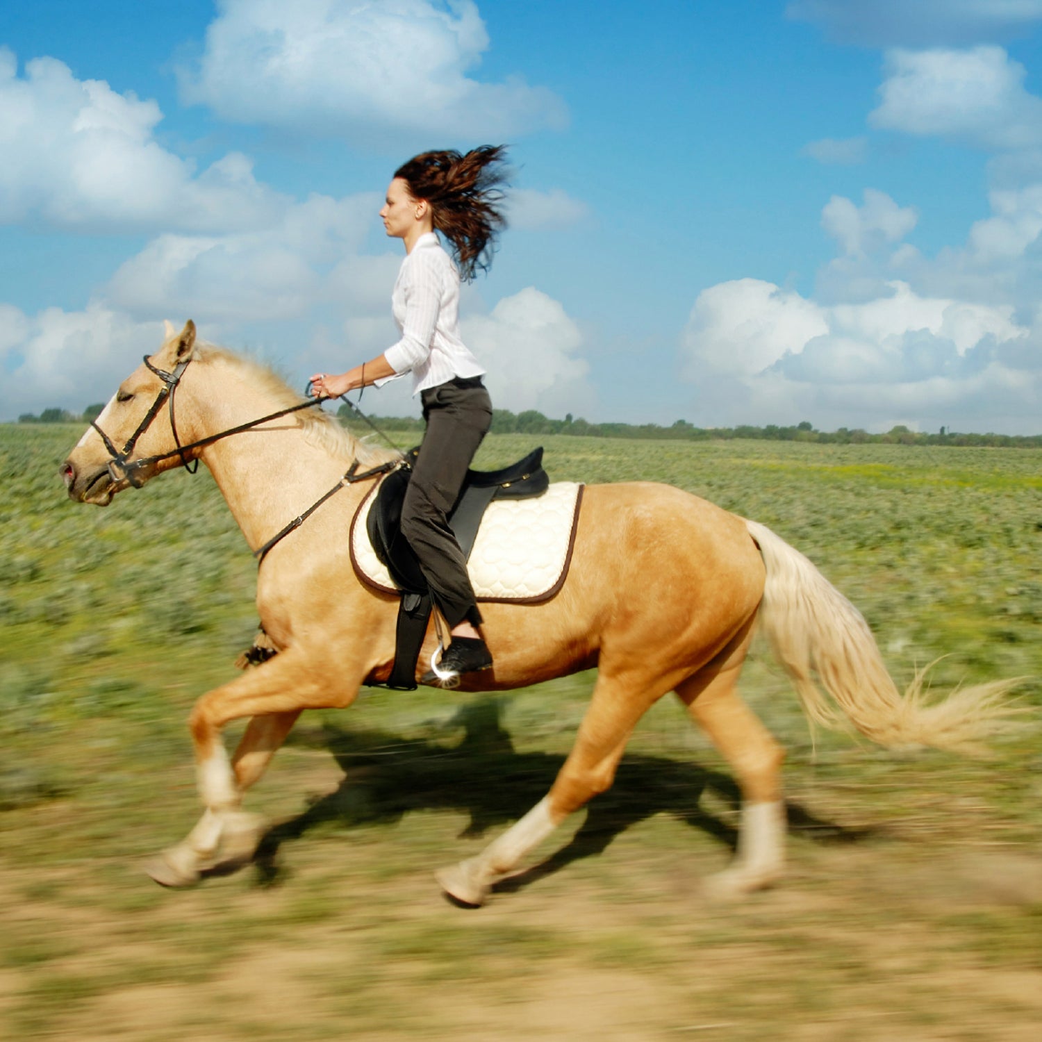 horse glucosamine natural