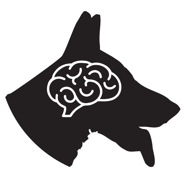 dog brain development supplement