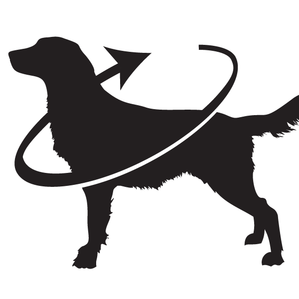 dog wellness supplement