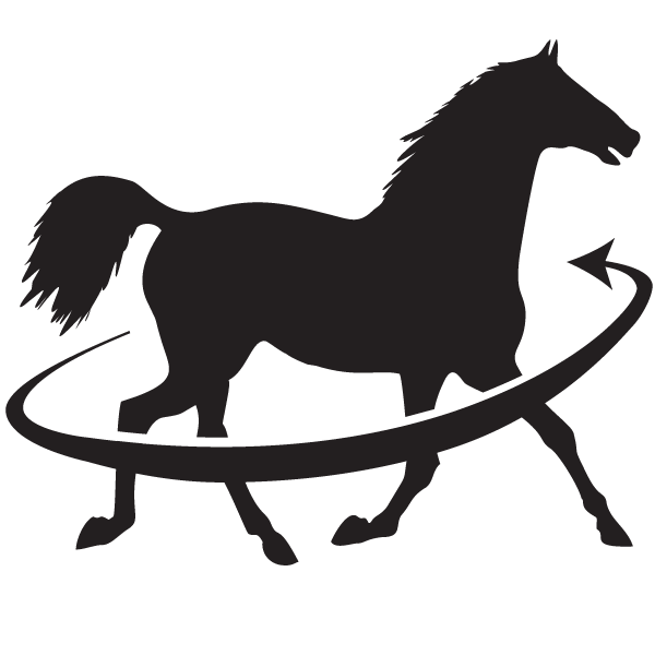 glucosamine chondroitin horses