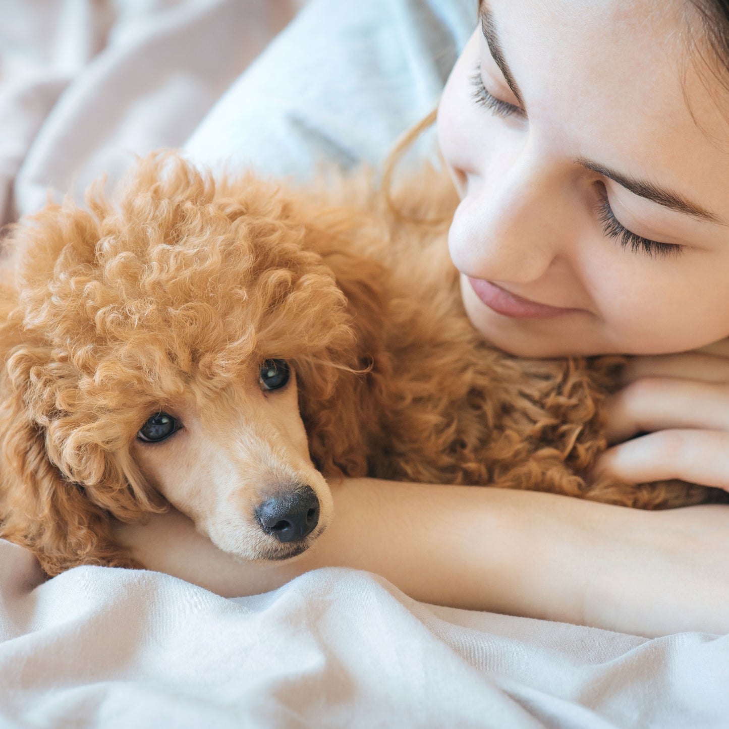 calming hemp melatonin for dogs