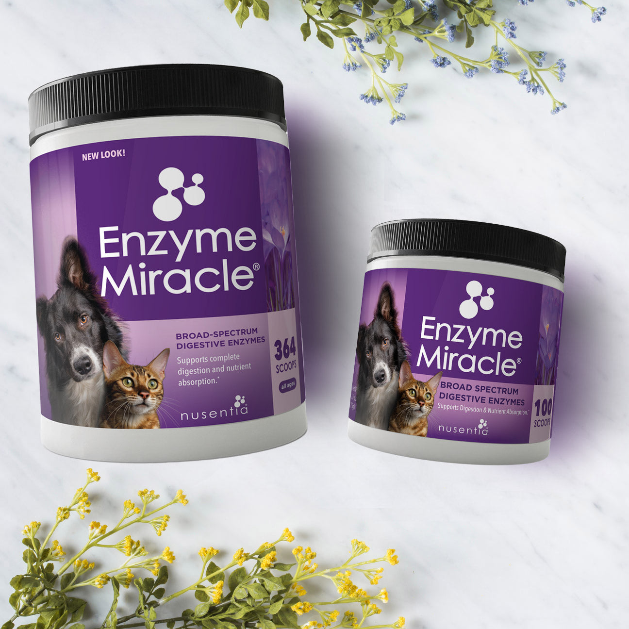 digestive enzyme powder for dogs and cats
