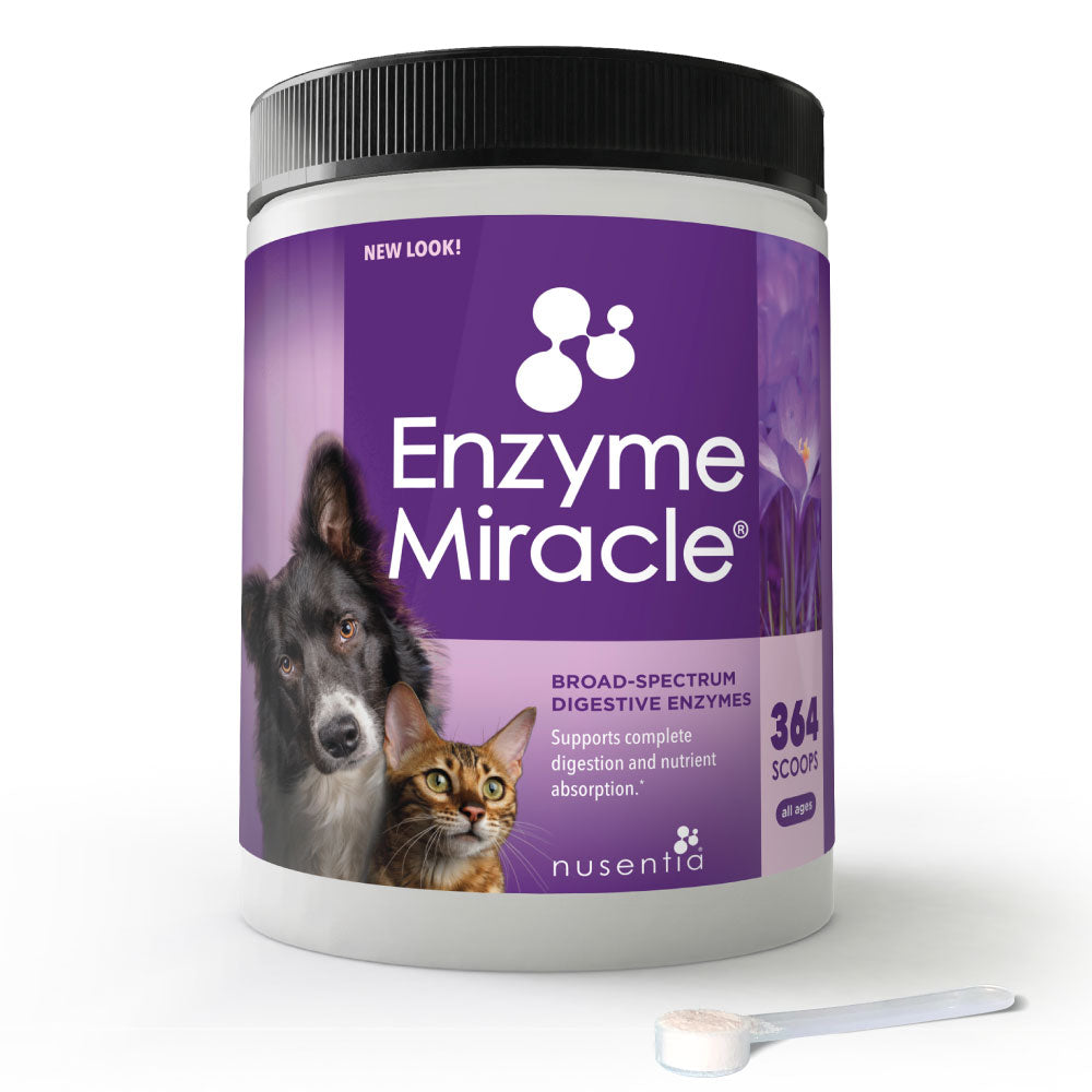 large digestive enzymes for dogs and cats
