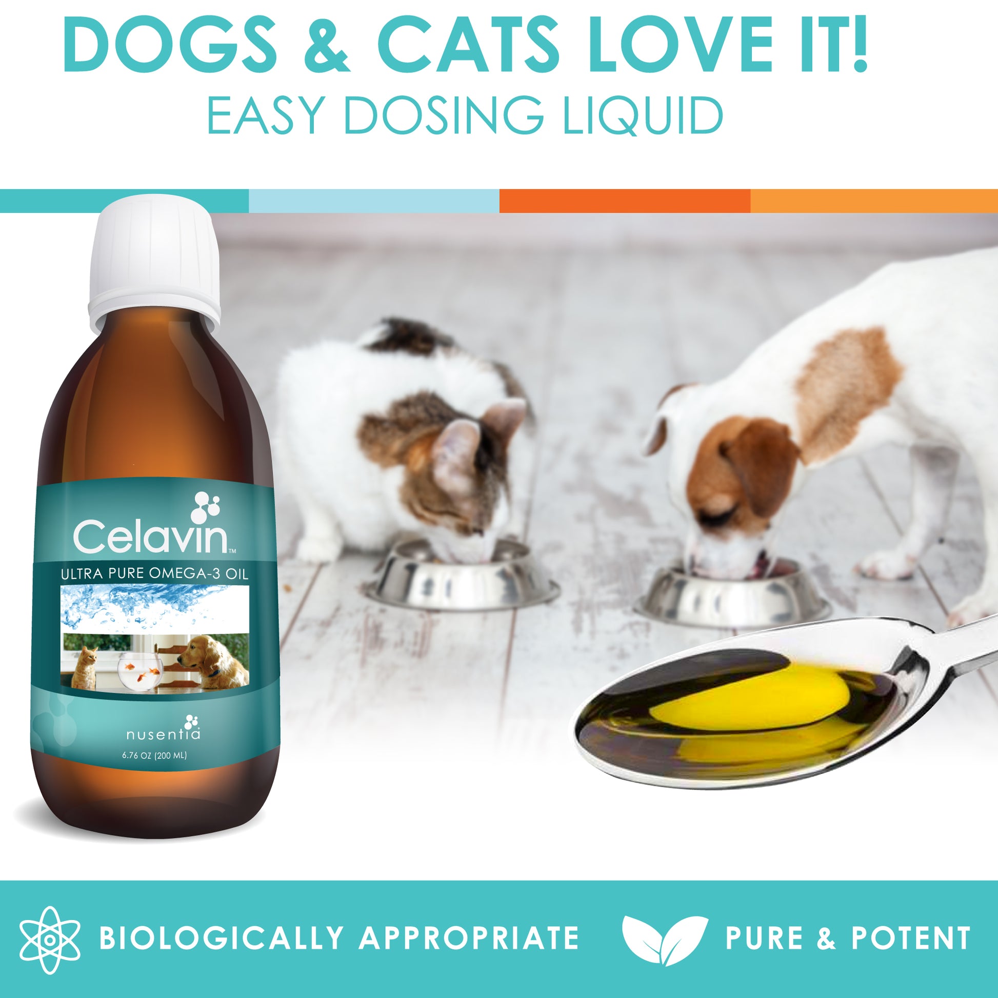 best fish oil for cats