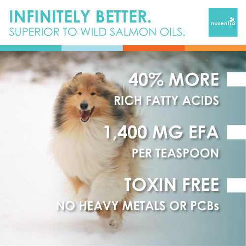 Dog Skin & Coat Power Pack