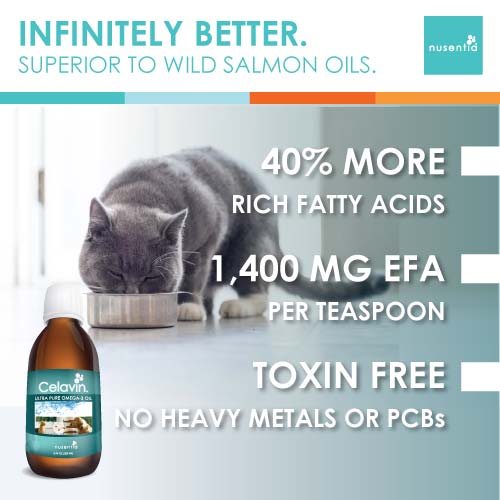 Allergy Support + Skin & Coat (Cats)