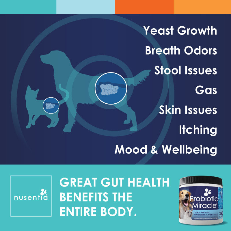 probiotic powder for dogs cats
