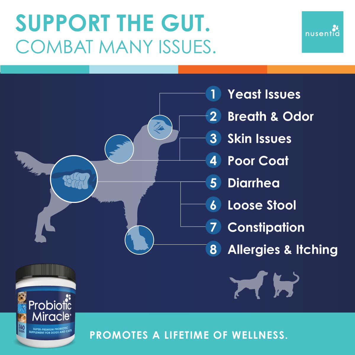 probiotics dogs