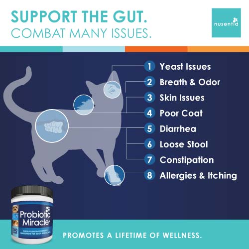 Allergy Support + Skin & Coat (Cats)