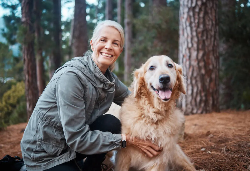 Separation Anxiety in Dogs: Training + Gut-Brain Connection Solutions
