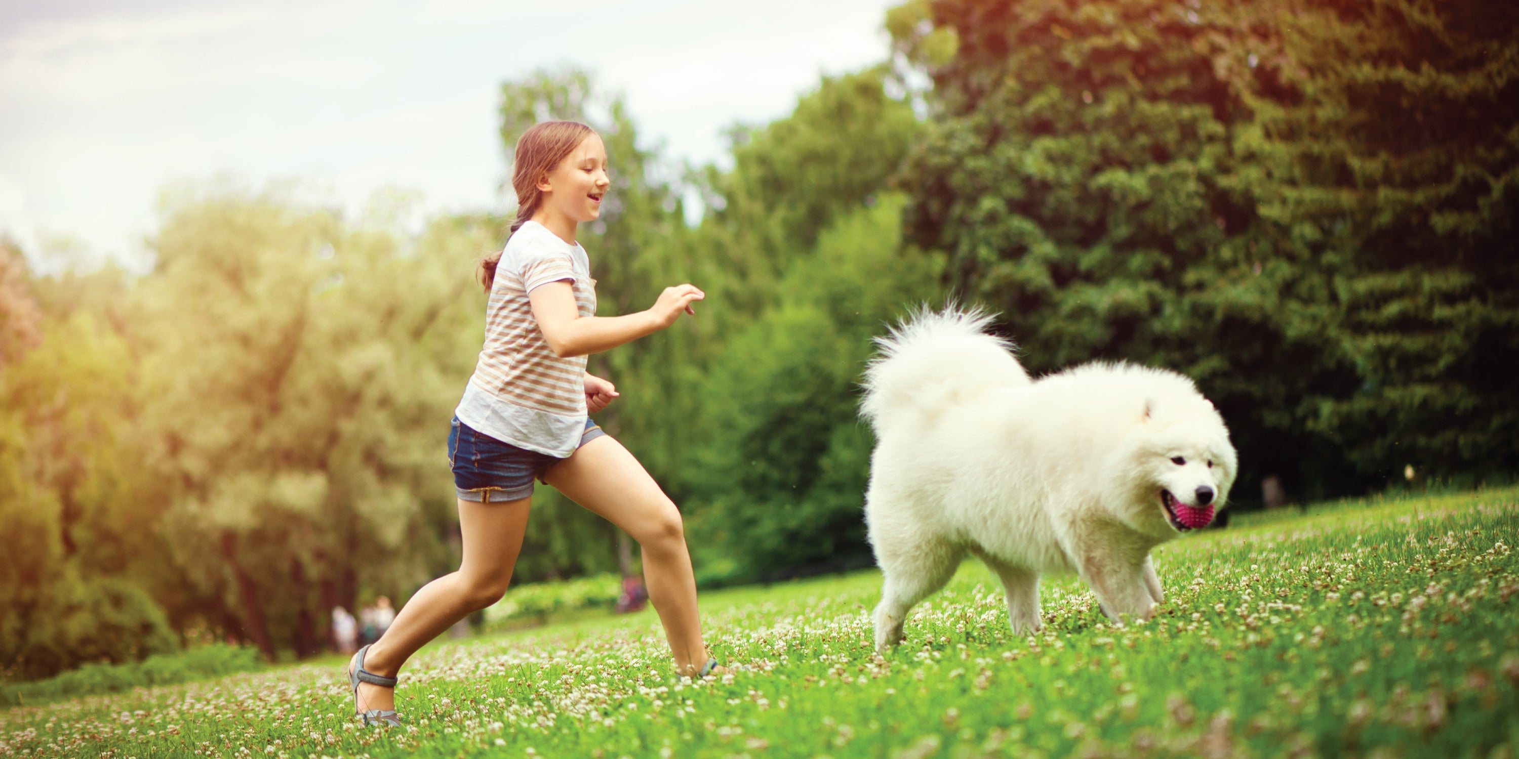 Joint Supplements For Dogs