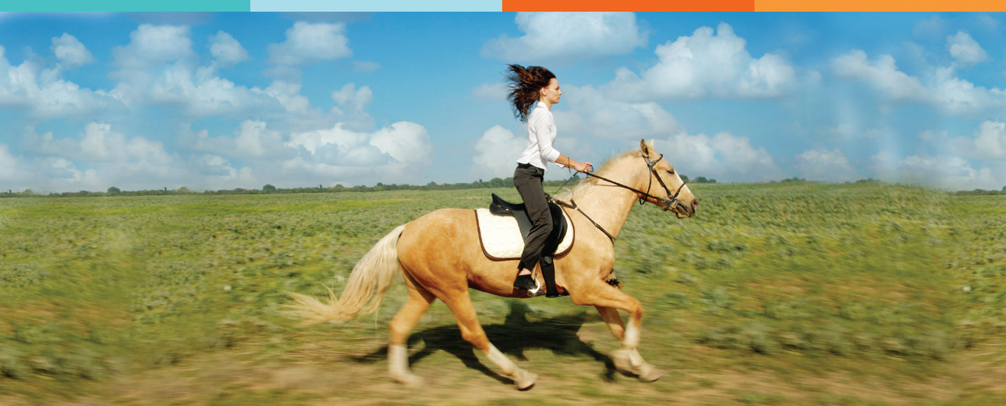 Horse Hip & Joint Remedies