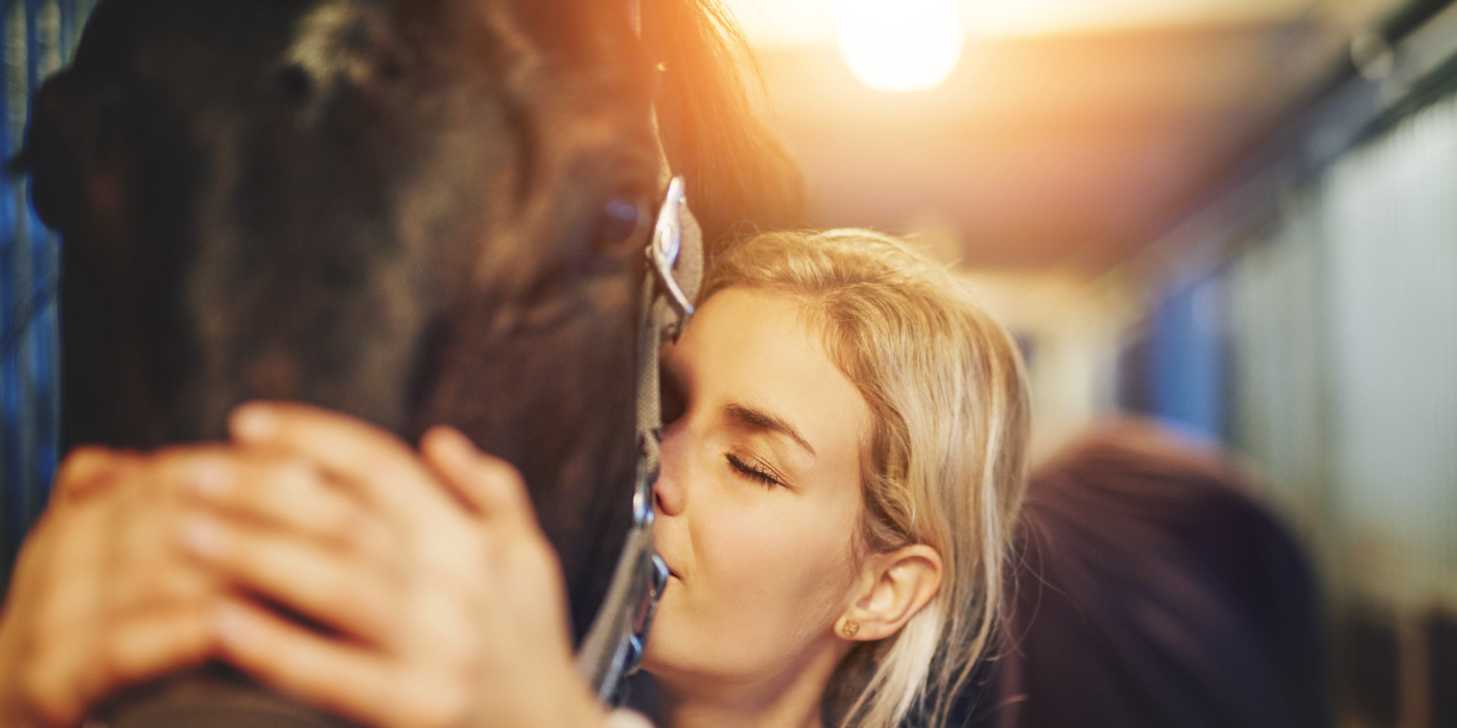 Horses