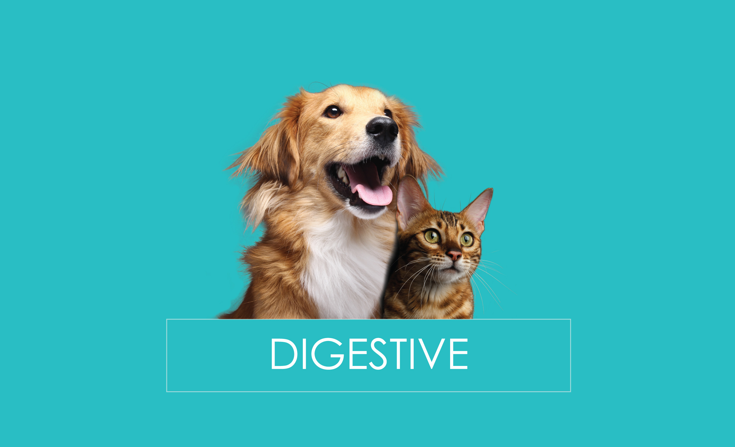 digstive remedies probiotics enzymes