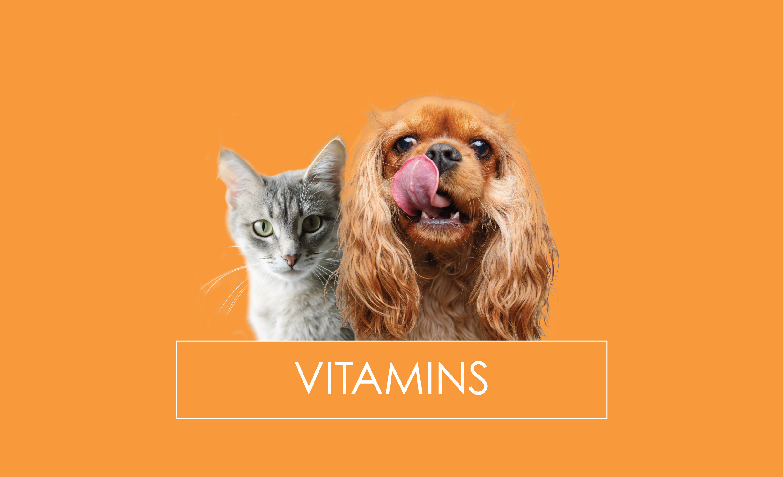 pet vitamins