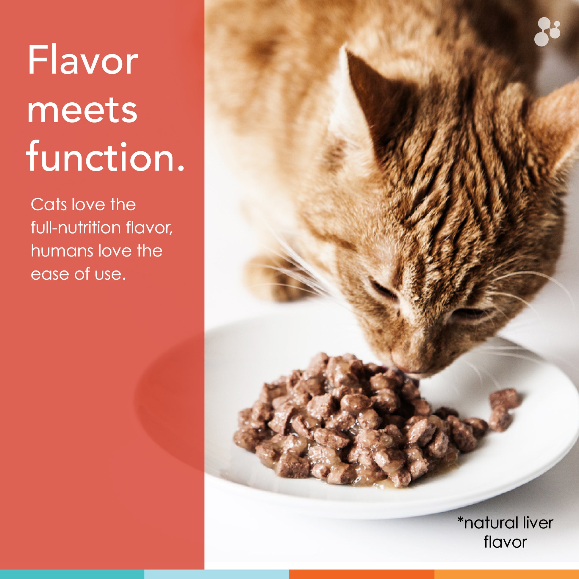 cat food nutrition