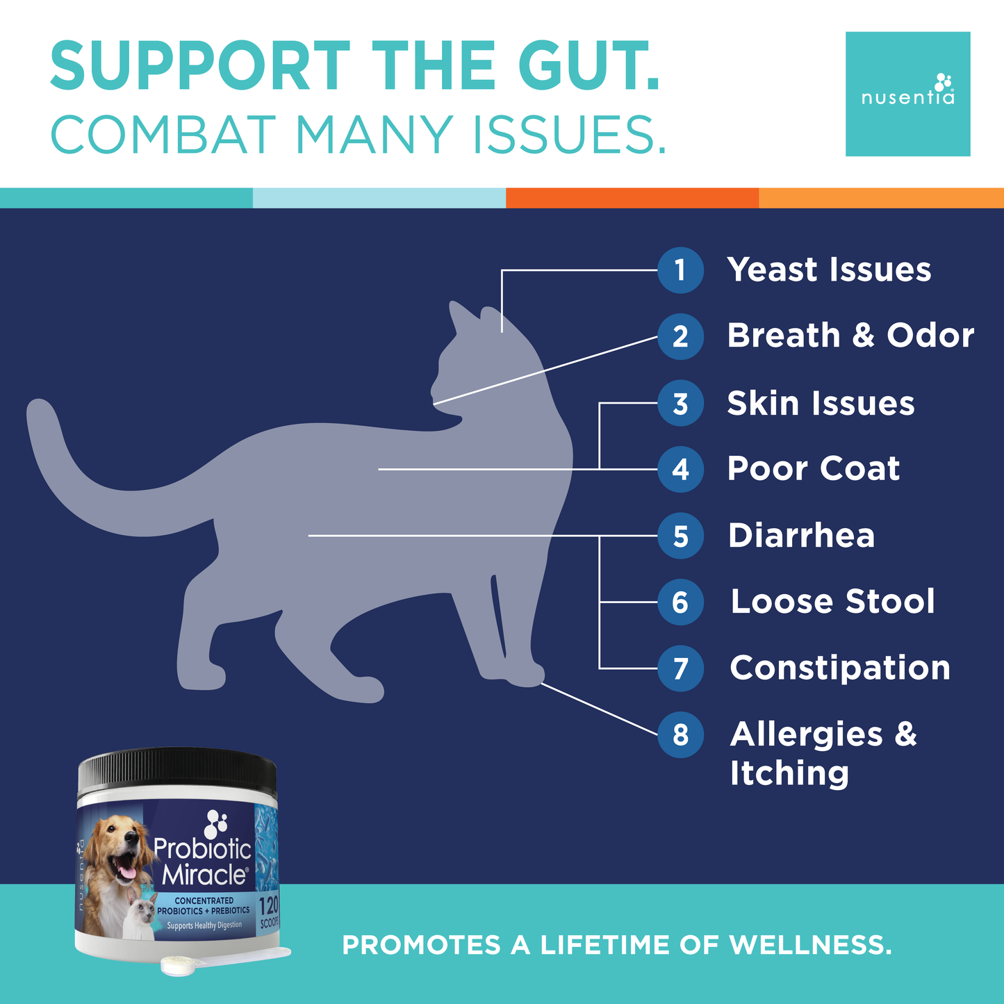 Allergy Pack for Cats