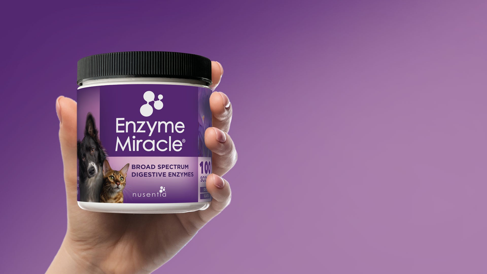 digestive enzymes for dogs and cats