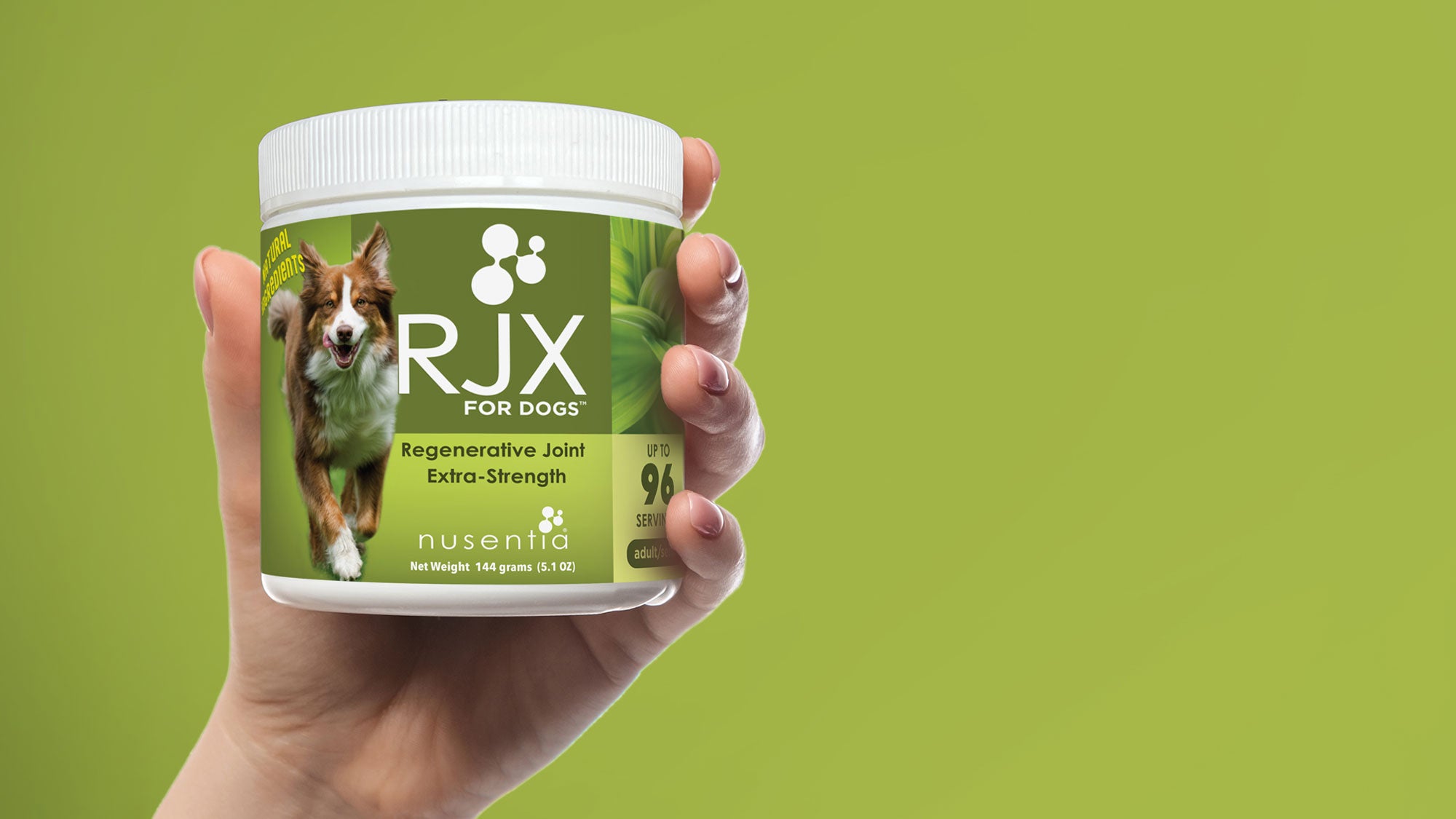 natural joint supplement for dogs