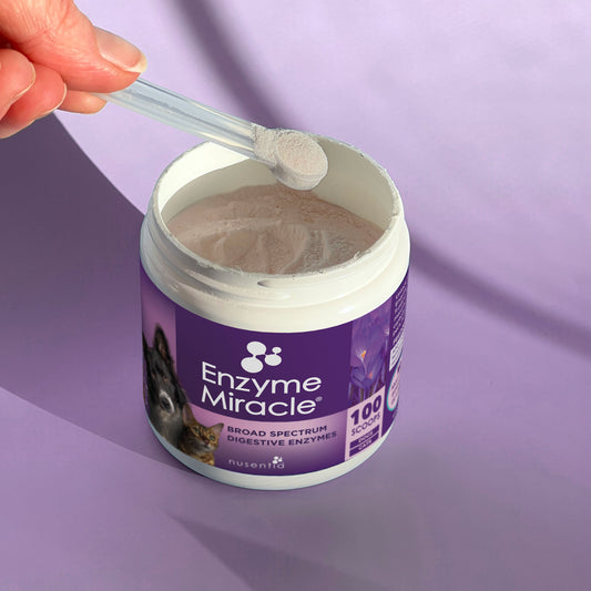 Digestive Enzymes for pets