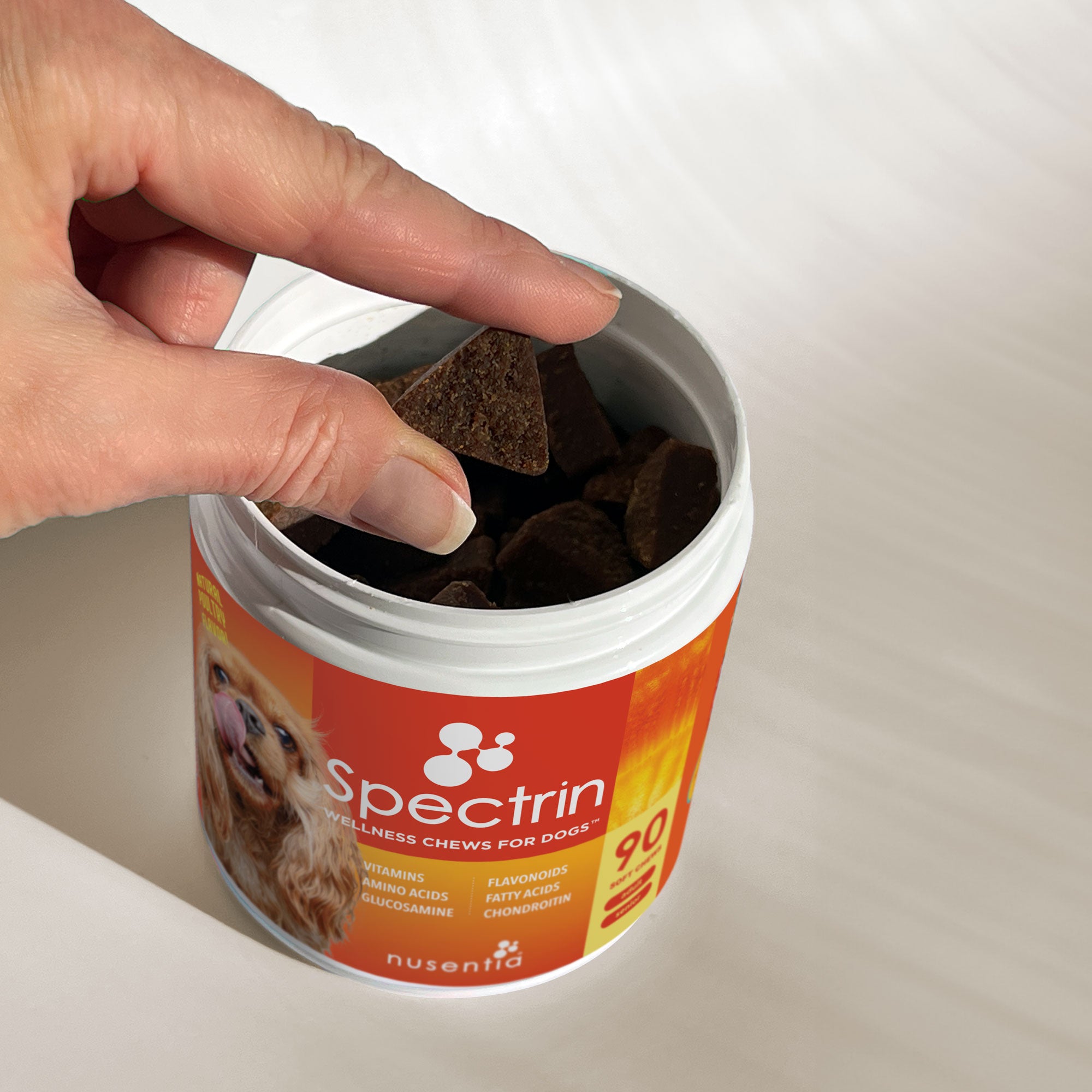 Spectrin Vitamin Treats for Dogs with Glucosamine Chondroitin Nusentia