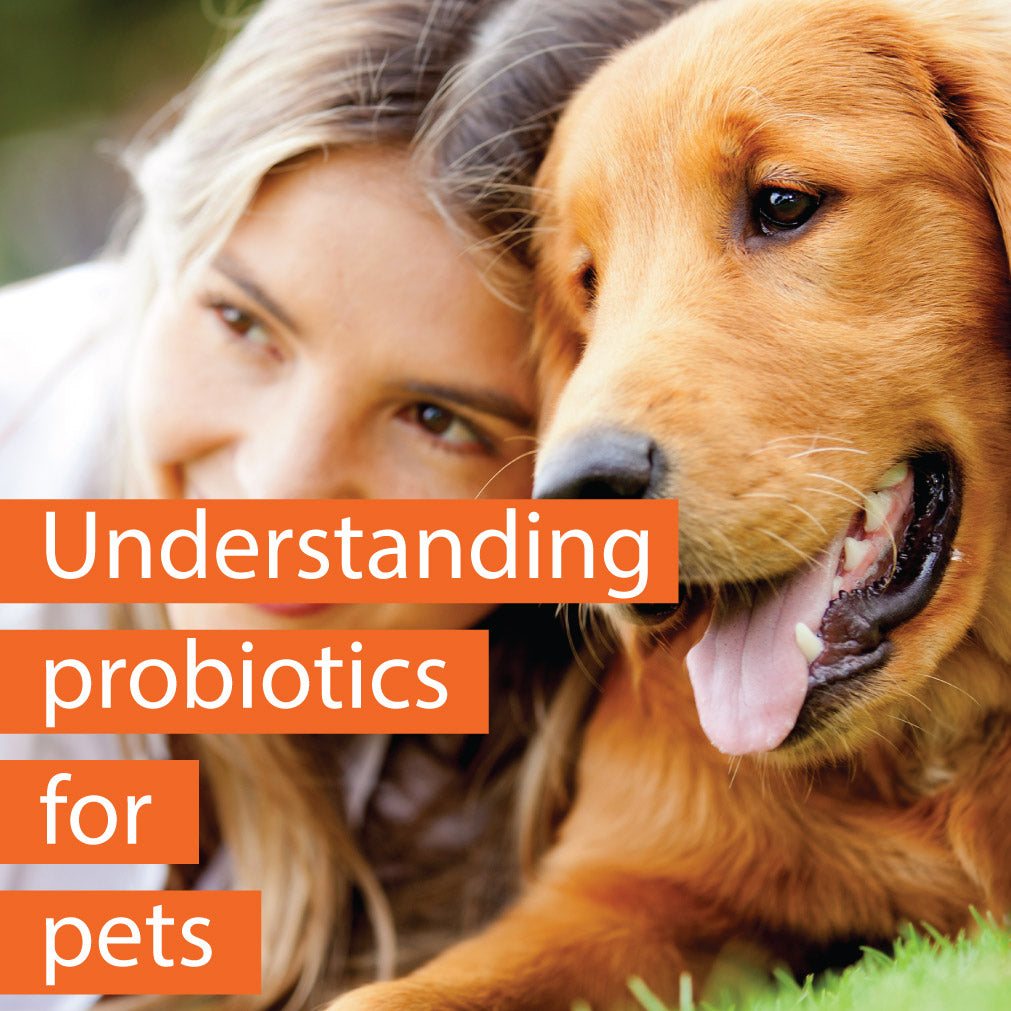 best probiotics for dogs