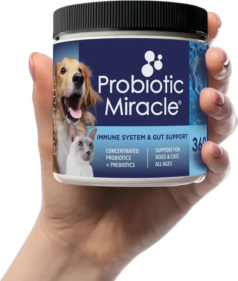 Probiotics for Dogs and Cats