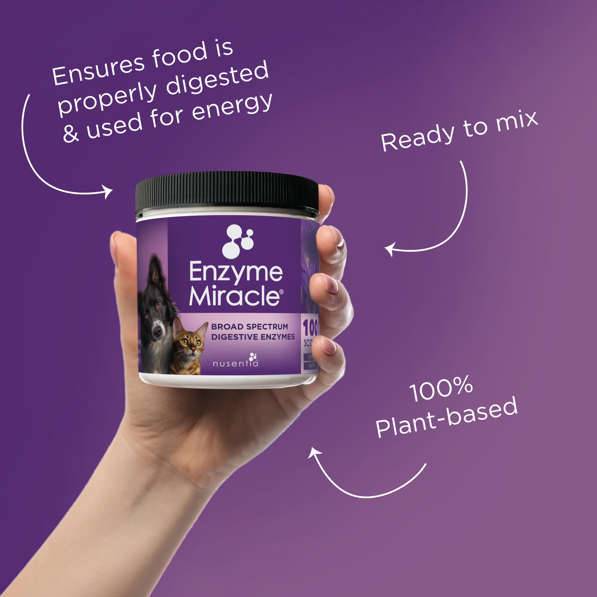 digestive enzymes dogs