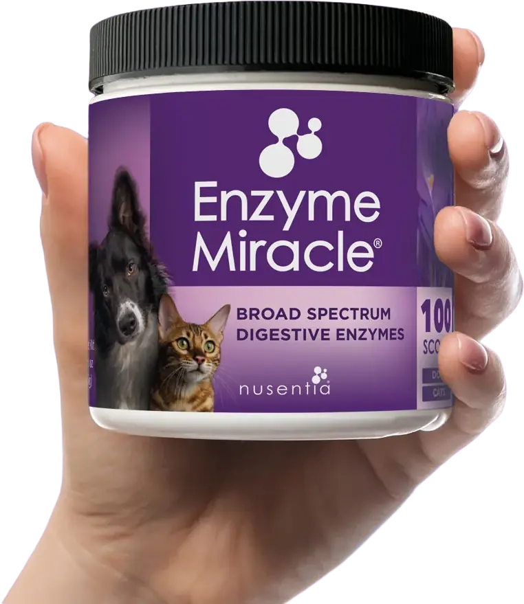 Digestive Enzymes for Dogs & Cats