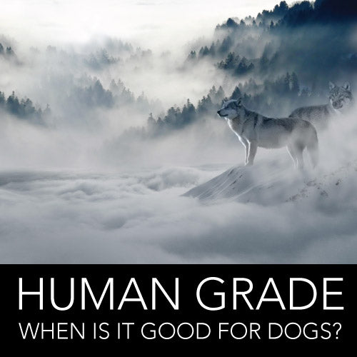 HUMAN GRADE: GOOD FOR DOGS?
