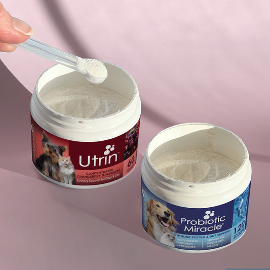 natural uti supplements for pets