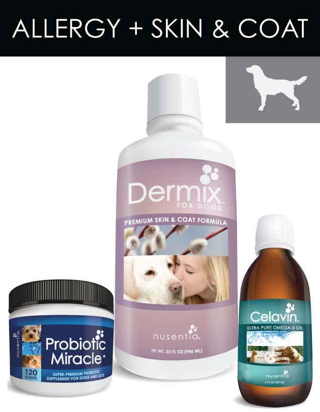 natural allergy support dogs