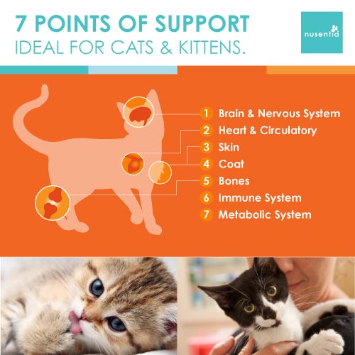 Allergy Support + Skin & Coat (Cats)