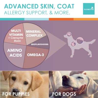 Dog Skin & Coat Power Pack