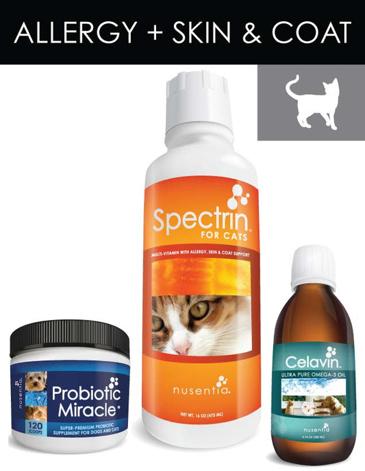 Allergy Support + Skin & Coat (Cats)