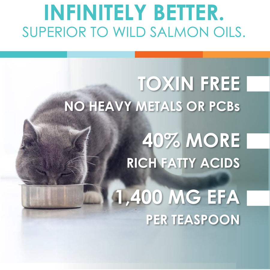 fish oil features cats dogs