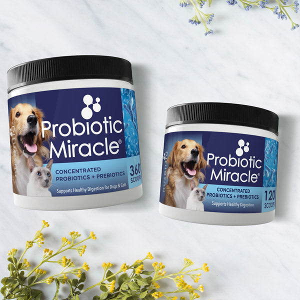 probiotic miracle powders dogs cats