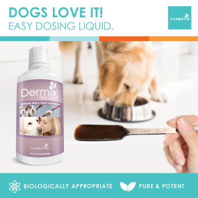 Dog Skin & Coat Power Pack