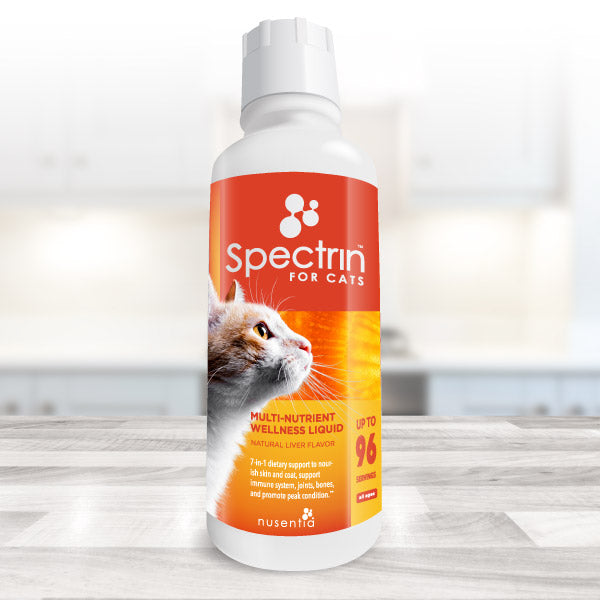 l carnitine cat supplement Taurine for Cats | Feline Wellness Support Product Reviews for RX VITAMINS